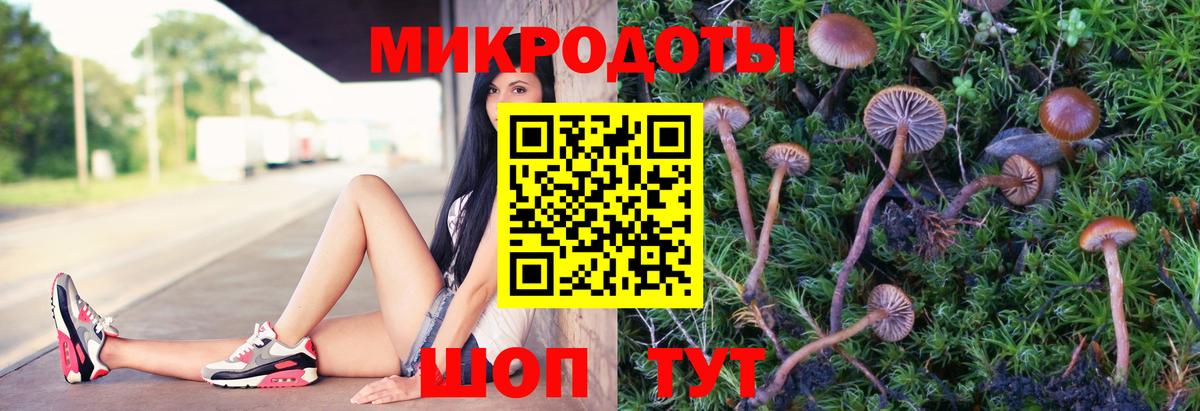 Лиски  Псилоцибиновые грибы Psilocybine cubensis  Вход с VPN 